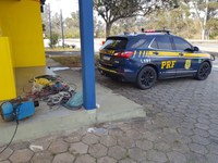 PRF prende autores de furto na Zona Rural de Oliveira (MG)