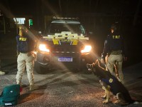 10 kg de maconha e 2 kg de cocaína são apreendidos em ônibus, no município de Benevides/PA