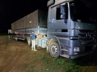 PRF apreende 32,9 m³ de madeira da espécie Ipê em Altamira/PA