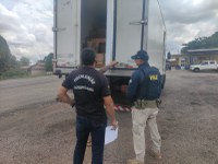 PRF apreende mais de 6 toneladas de camarão, em Ipixuna do Pará/PA