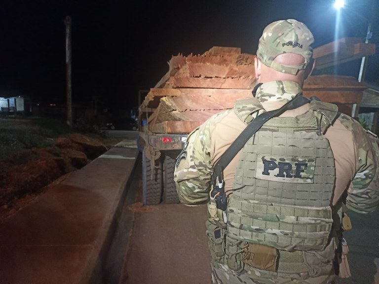 Apreensão de madeira ilegal.jfif