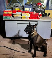 PRF apreende 25 kg de drogas, em Marabá/PA