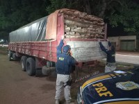 PRF apreende 25 m³ de madeira ilegal, em Dom Eliseu/PA