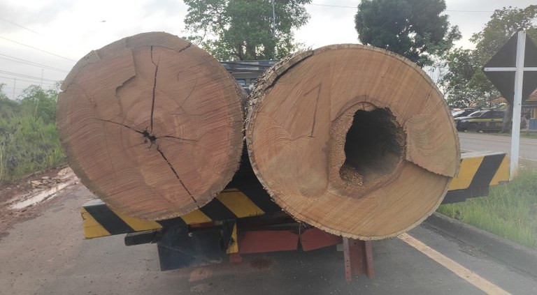 PRF apreende madeira em toras e uma motosserra, em Brasil Novo/PA