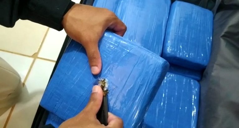 PRF apreende 10 kg de maconha em ônibus com destino ao Maranhão, no município de Altamira/PA