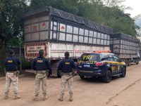 PRF apreende 80m³ de carvão ilegal, em Marabá/PA