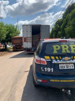 PRF apreende 82 m³ de madeira ilegal em Marabá-Pa