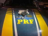 PRF apreende arma de fogo, em Marabá/PA