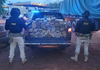 PRF apreende 104 kg de skunk escondidos em pneus de caminhão, em Uruará/PA