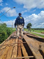 PRF apreende 53m³ de madeira ilegal em Marabá/PA