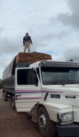 PRF apreende 84 m³ de madeira ilegal em São Domingos do Araguaia/PA