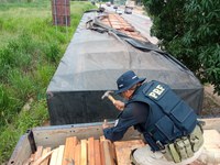 PRF apreende 313 m³ de madeira ilegal durante operação de combate a crimes ambientais no Pará