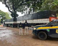 PRF apreende 61 m³ de madeira ilegal, em Marabá/PA