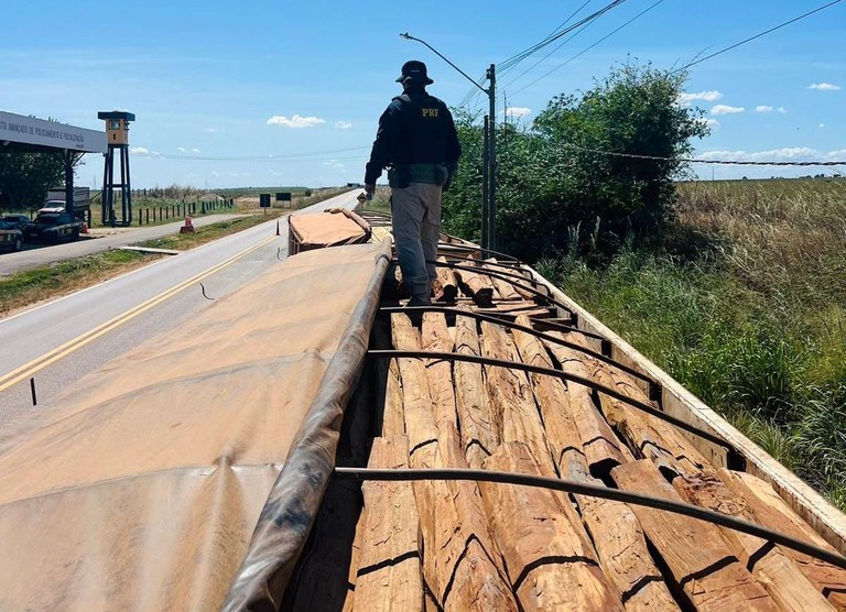 WhatsApp Image 2024-06-13 at 07.36.33.jpeg