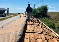 PRF apreende 54 m³ de madeira ilegal em Marabá/PA