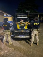 PRF apreende 9 kg de maconha em Altamira/PA