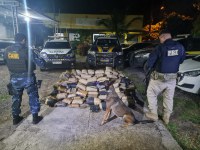PRF apreende 325 kg de maconha escondidos em fundo falso e pneus de caminhão, em Marabá/PA