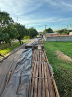 PRF apreende 93m³ de madeira ilegal em Marabá/PA