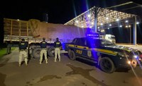 PRF apreende 26 m³ de madeira ilegal, em Trairão/PA