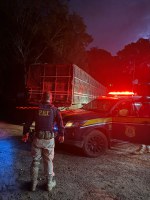 PRF apreende 36,9 m³ de madeira ilegal, em Marabá/PA