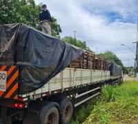 PRF apreende 89 m³ de madeira ilegal, em Marabá/PA