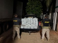 PRF apreende 203 kg de skunk escondidos em falsa mudança na BR-230, em Anapu/PA