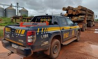 PRF apreende 35,30 m³ de madeira ilegal durante fiscalização na BR-010, em Dom Eliseu/PA