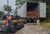 PRF apreende 29 m³ de madeira ilegal em Cachoeira do Piriá/PA