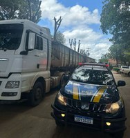 PRF apreende 46 m³ de madeira ilegal e anfetaminas, em Marabá/PA