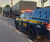 PRF apreende 57 m³ de madeira ilegal em fiscalização na BR-316, em Castanhal/PA