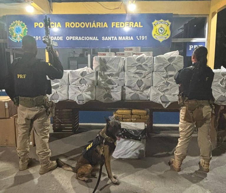 WhatsApp Image 2025-08-29 at 11.35.24.jpg