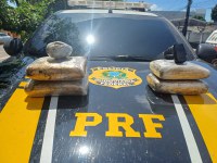 PRF apreende 4 kg de skunk dentro de ônibus, em Santarém/PA.