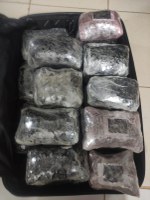 PRF prende passageira de ônibus transportando maconha, em Altamira/PA