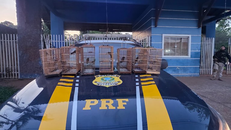 WhatsApp Image 2025-12-12 at 10.49.01.jpeg