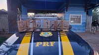 PRF resgata aves silvestres em fiscalizações na BR-422, Tucuruí-PA