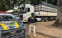 PRF apreende 95 m³ de carvão ilegal durante fiscalização na BR-155, em Marabá/PA