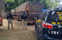 PRF apreende 110 m³ de madeira ilegal durante fiscalização na BR-230, em Marabá/PA