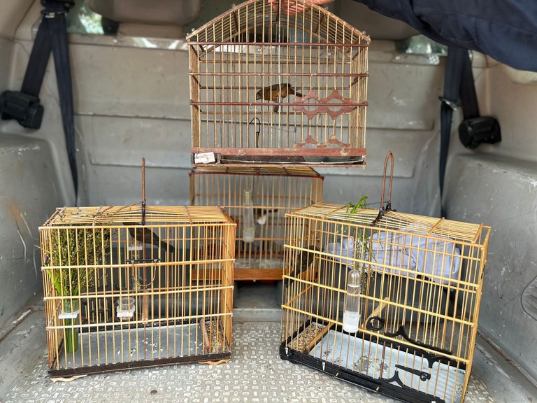 WhatsApp Image 2025-01-31 at 12.23.07.jpeg