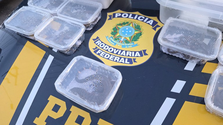 Imagem do WhatsApp de 2025-07-18 à(s) 10.14.28_e1e1b3e5.jpg