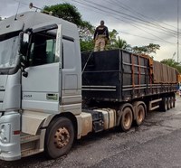 PRF apreende 30 m³ de madeira ilegal em Cachoeira do Piriá/PA