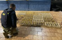 PRF resgata 700 pássaros silvestres durante fiscalização na BR-230, em Vitória do Xingu/PA