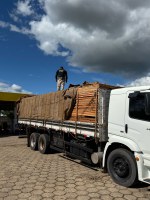 PRF apreende 27 m³ de madeira ilegal em Rio Maria/PA