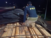 PRF apreende 65 m³ de madeira ilegal durante fiscalização na BR-010, em Dom Eliseu/PA