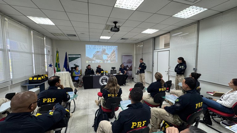 PRF realiza IV Nivelamento em Identificação de Madeiras e apreende mais de 200m³ de produto ilegal no Pará