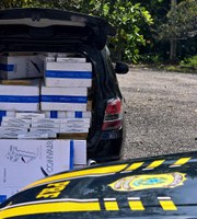 PRF apreende 15 mil maços de cigarros contrabandeados em Capanema/PA
