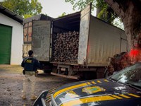 PRF apreende 40 m³ de madeira ilegal em Marabá/PA
