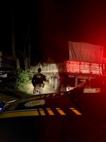 PRF apreende 68 m³ de madeira ilegal em Itupiranga/PA