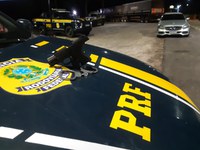 PRF apreende arma de fogo e munições, em Castanhal/PA