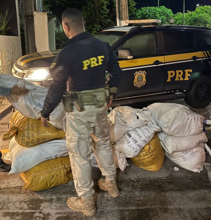 WhatsApp Image 2025-03-11 at 07.16.19.jpeg