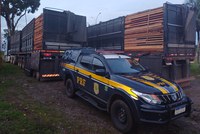 PRF e PM apreendem 116 m³ de madeira ilegal em fiscalização na BR-230, em Anapu/PA